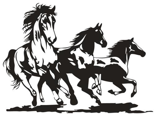 mustang 